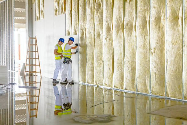 Best Residential Insulation in Big Rapids, MI